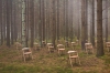 outdoor-13_swing.jpg