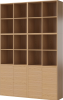Case Shelf Combination 09 -NEW_Oiled oak Veneer_TSCA 00-007-09_4802_angle.png