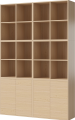 Case Shelf Combination 09 -NEW_White pigmented oiled oak Veneer_TSCA 00-007-09_4771_angle.png