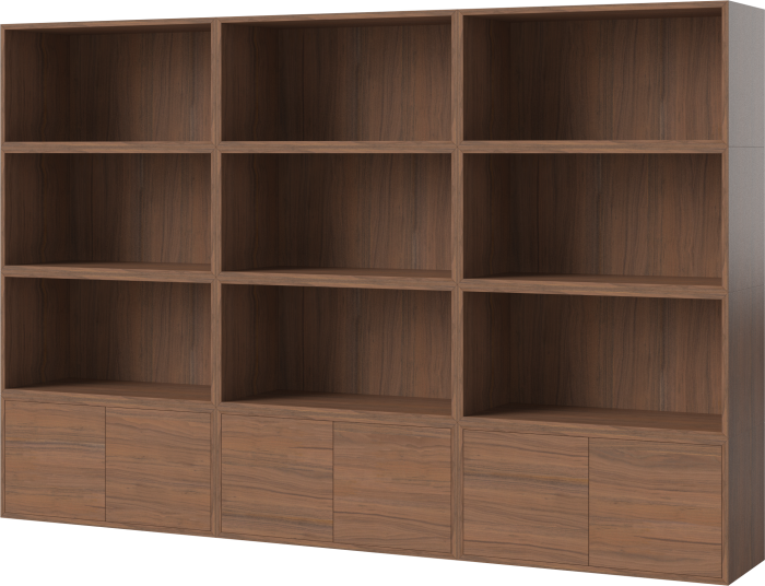 Case Shelf Combination 17_Oiled walnut Veneer_TSCA 00-007-17_00003_angle.png