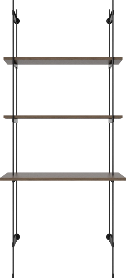 ROD Office combination single_Black lacquered steel_Dark oiled oak Veneer_TSCA 00-130-22_00001.png