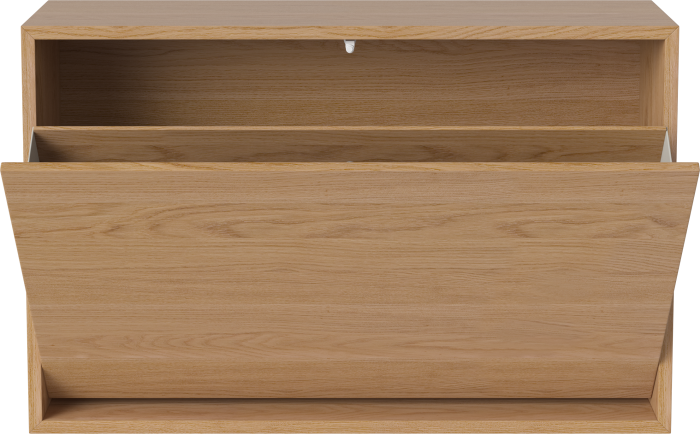 Case Shoe Cabinet - Single_Oiled oak Veneer_TSCA 04-009-20_00001.png