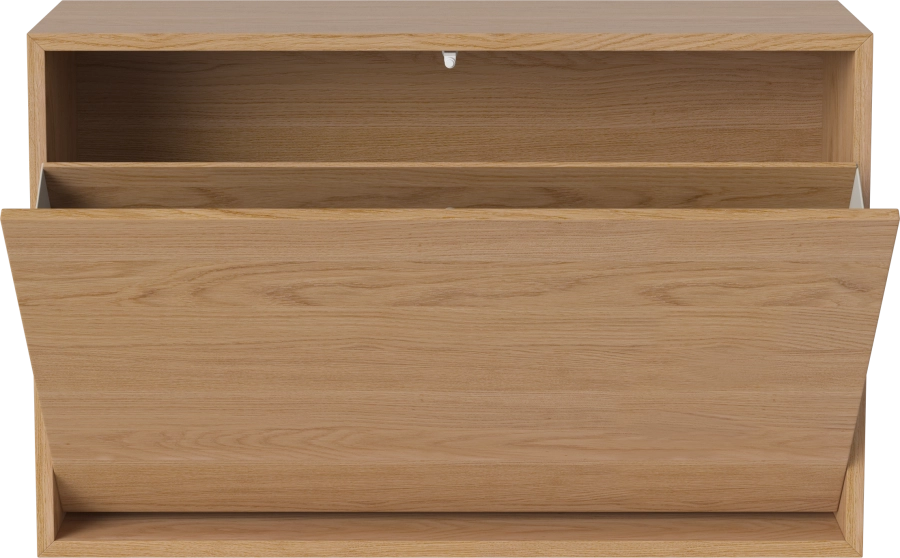 Case Shoe Cabinet - Single_Oiled oak Veneer_TSCA 04-009-20_00001.png