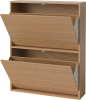 Case Shoe Cabinet - Double_Oiled oak Veneer_TSCA 04-009-21_00001_angle.png