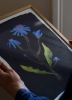 Clara_Schicketanz_Night_Flower_Close_Up_Low_Res-800x1100.jpg