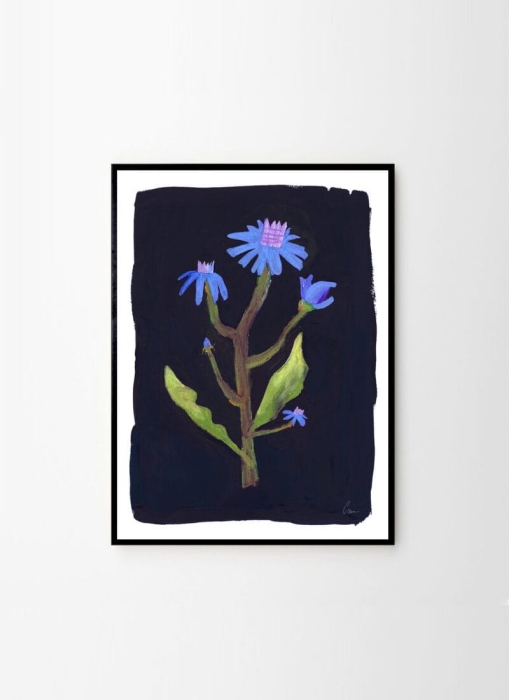 Clara_Schicketanz_Night_Flower_Frame_Black_Oak_Low_Res-800x1100.jpg