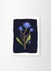 Clara_Schicketanz_Night_Flower_Frame_White_Oak_Low_Res-800x1100.jpg