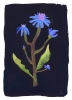 Clara_Schicketanz_Night_Flower_Product_Low_Res-800x1100.jpg