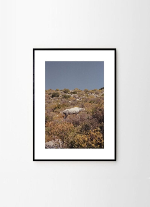 Ana_Santl_Camouflage_Frame_Black_Oak_Low_Res-800x1100.jpg