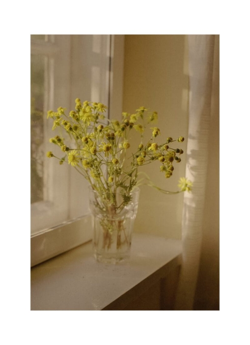 Ana_Santl_Warmth_Product_Low_Res-800x1100.jpg