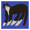 Eniko_Katalin_Eged_Cat_In_Blue_Product_Low_Res.jpg