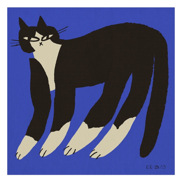 Eniko_Katalin_Eged_Cat_In_Blue_Product_Low_Res.jpg