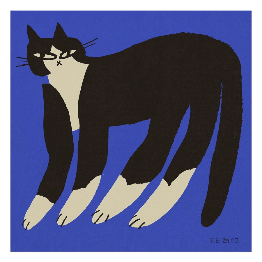 Eniko_Katalin_Eged_Cat_In_Blue_Product_Low_Res.jpg