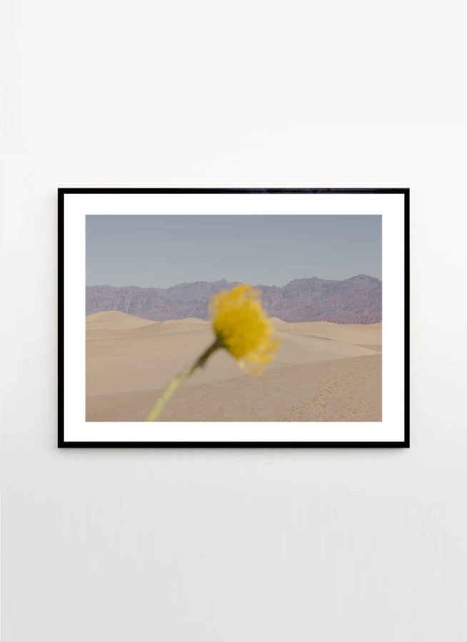 Nicole_Mason_Desert_Mirage_Frame_Black_Oak_Low_Res-800x1100.jpg