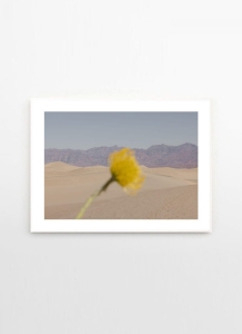 THE POSTER CLUB druk artystyczny DESERT MIRAGE