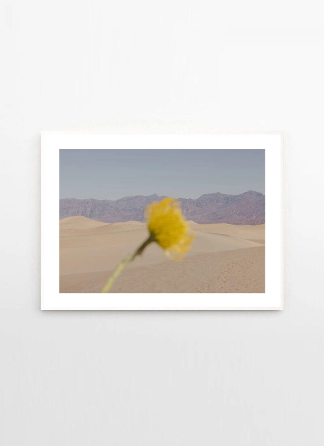 Nicole_Mason_Desert_Mirage_Frame_White_Oak_Low_Res-800x1100.jpg