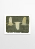 Jorgen_Hansson_Swans_Frame_White_Oak_Low_Res-800x1100.jpg