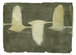 THE POSTER CLUB druk artystyczny SWANS