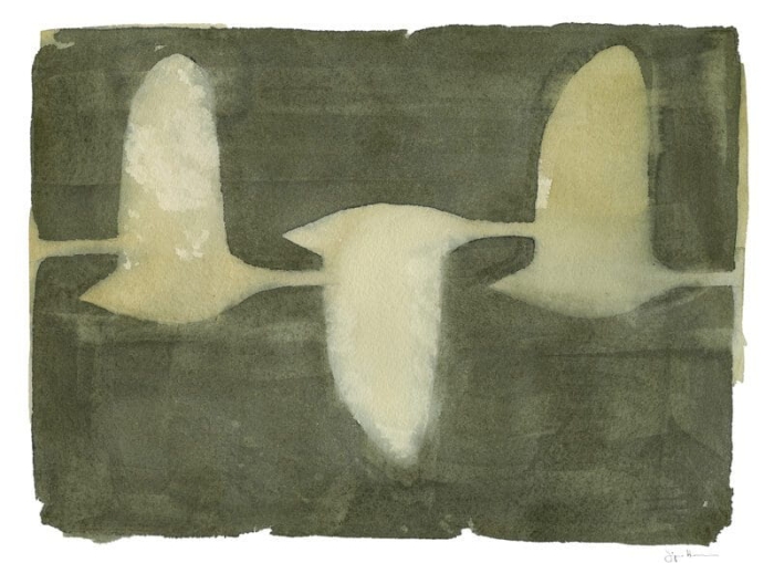 Jorgen_Hansson_Swans_Product_Low_Res-800x582.jpg