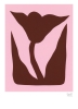 Alice_Bottigliero_Mountain_Lily_Product_Low_Res-800x1100.jpg