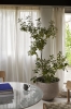 ATD_2021_Retail_In Between SK18_Collect Planter SC43_Betty TK1.jpg