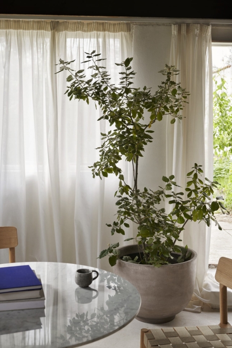 ATD_2021_Retail_In Between SK18_Collect Planter SC43_Betty TK1.jpg