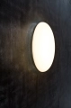silverback-arken22-71744-25871-50048.webp