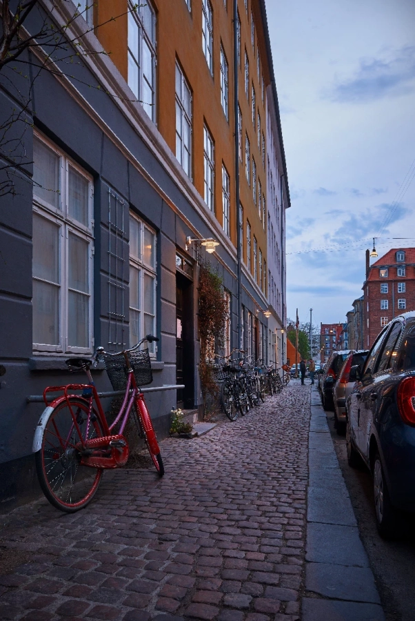 1_albertslund-wall-icon-copenhagen-cityscapes-15-04663a.webp