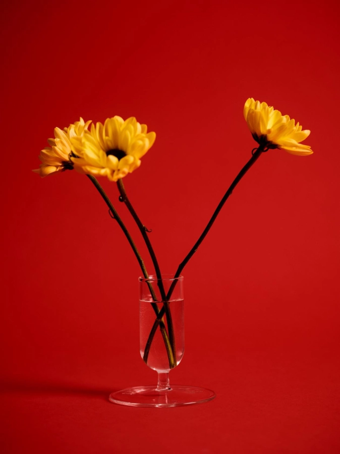 Tiny Vase clear 04.jpg