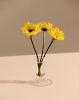 Tiny Vase clear 05.jpg