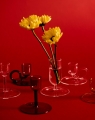 Tiny Candleholder Straight clear_grey_Tiny Candleholder Curved grey_clear_Tiny Vase clear.jpg