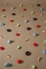 2023_FOSSIL_ALL_floor.jpg