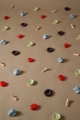 2023_FOSSIL_ALL_floor.jpg