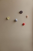 2023_FOSSIL_ALL_wall.jpg