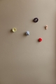 2023_FOSSIL_ALL_wall.jpg