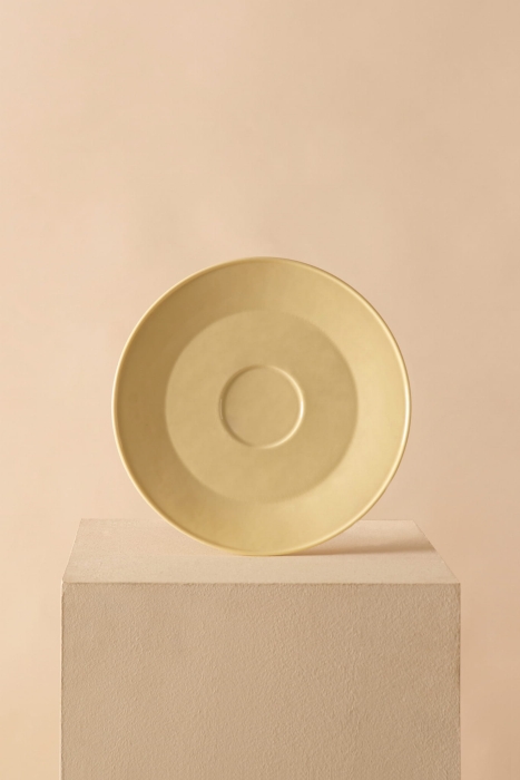 2022_UNISON_BIGPLATE_YELLOW.jpg