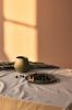 UNISON_CLOUDBLUE_BLUEBERRIES_LIGHT_05.jpg