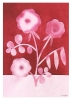 Anna_Ravn_Bjorn_Pink_Peas_in_Bloom_Product_Low_Res-800x1100.jpg
