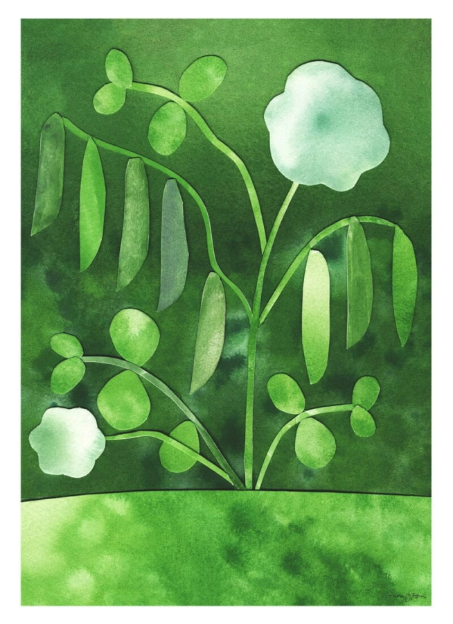 Anna_Ravn_Bjorn_Peas_in_Bloom_Product_Low_Res-800x1100.jpg