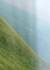 Lee_Burnett_Dorset_Close_Up_Low_Res-800x1100.jpg
