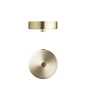 canopy_1_brushed_brass_2_web.png.webp