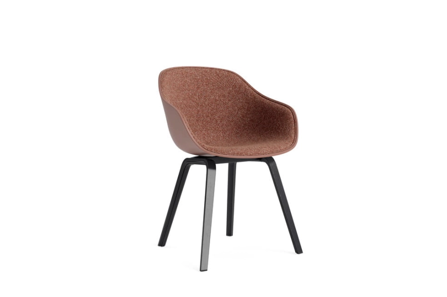 AC110-D148-AN27-02GD_AAC 222 front uph Loft 304_soft brick 2.0 shell_black wb lacquered oak base.jpg