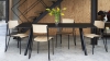 CPH 30 black lino black stained oak base_Petit Standard matt lacquered oak seat and back black powder coated alu base.jpg
