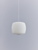 Nelson Roll Bubble Pendant.jpg