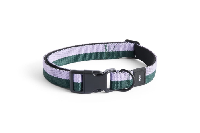 AD864-D013-AO16_HAY Dogs Collar Flat M-L lavender_green.jpg