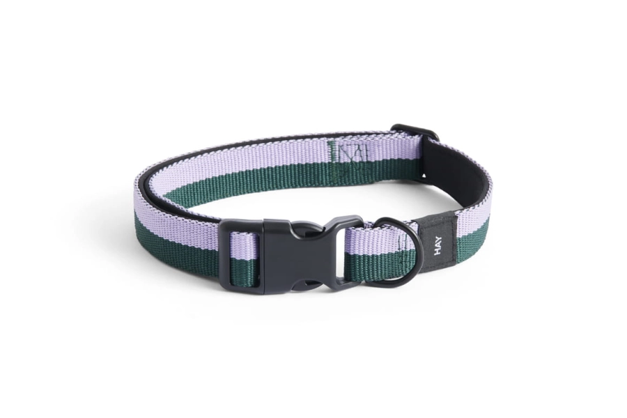AD864-D013-AO16_HAY Dogs Collar Flat M-L lavender_green.jpg