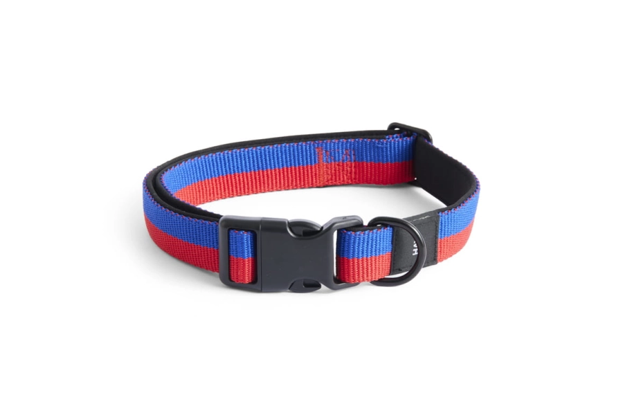 AD864-D013-AL56_HAY Dogs Collar Flat M-L red_blue.jpg