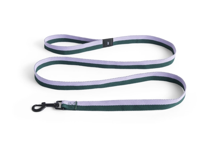 AD865-D029-AO16_HAY Dogs Leash Flat M-L lavender_green.jpg