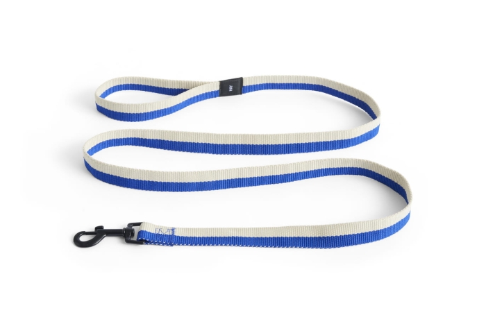AD865-D029-AO17_HAY Dogs Leash Flat M-L blue_off-white.jpg