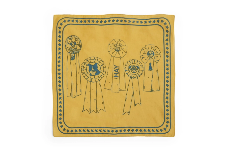 AD858-D281-AH98_HAY Dogs Scarf ochre.jpg